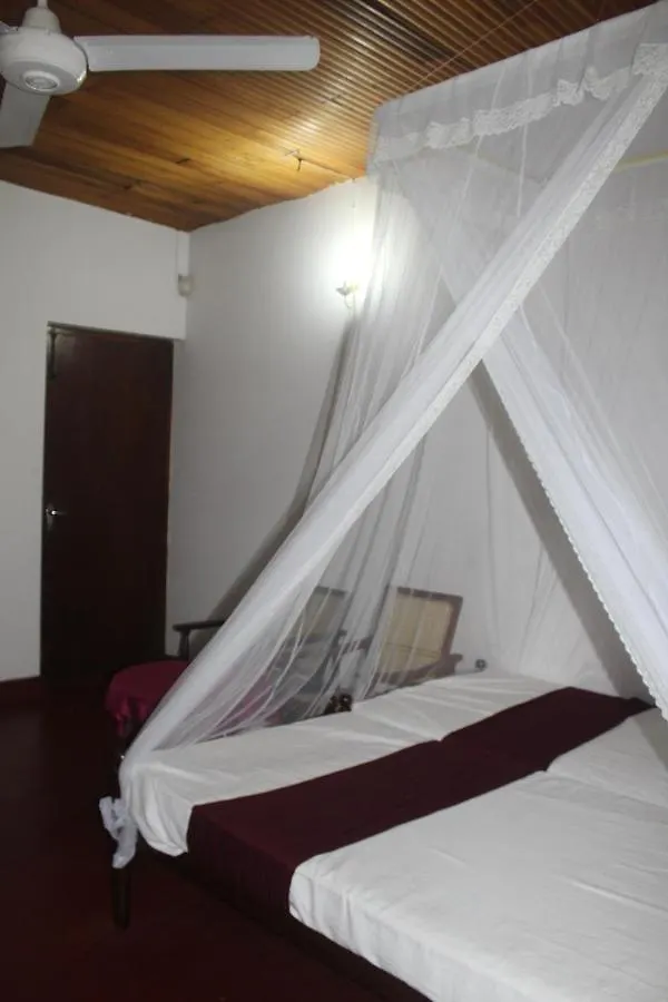 Lazy Bear Best Hostel In Kandy Sri Lanka