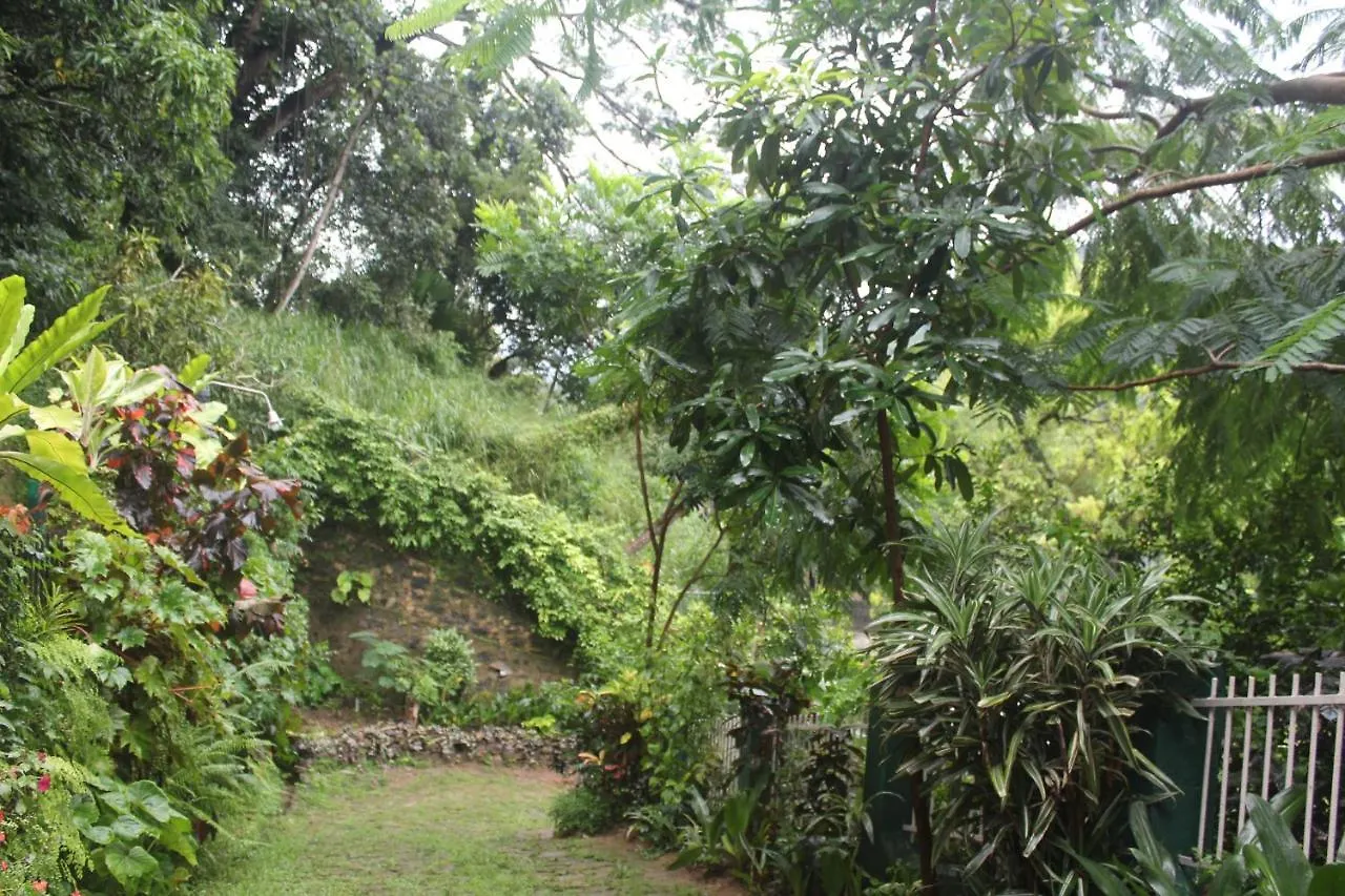 Lazy Bear Best Hostel In Kandy