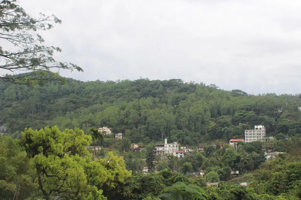 Lazy Bear Best Hostel In Kandy