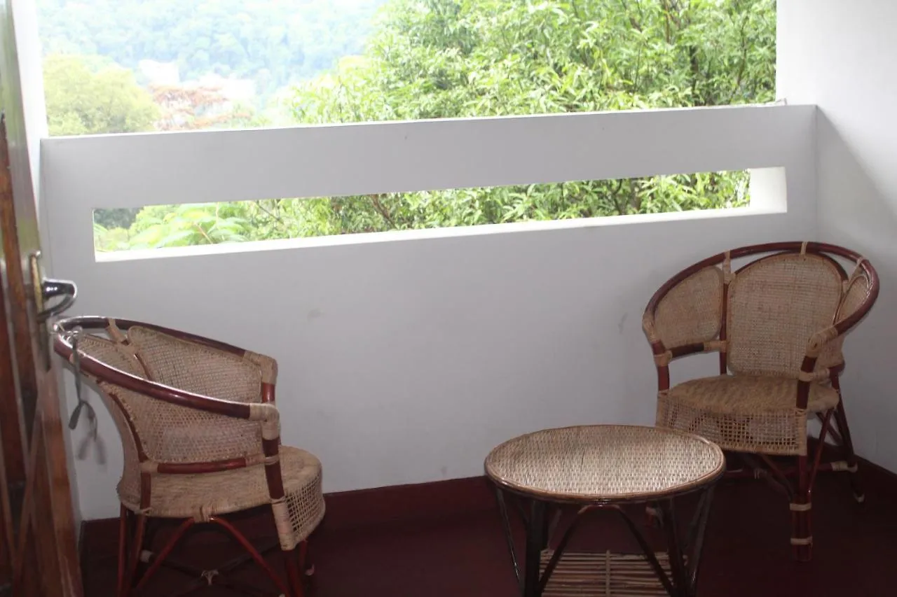 Lazy Bear Best Hostel In Kandy