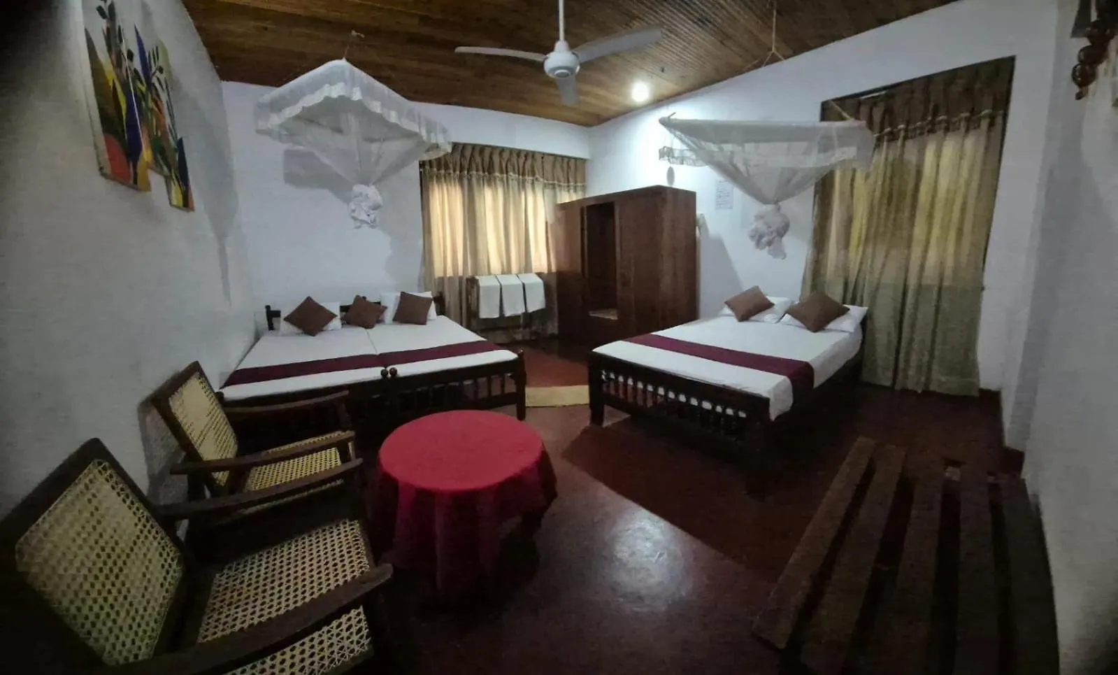 Lazy Bear Best Hostel In Kandy