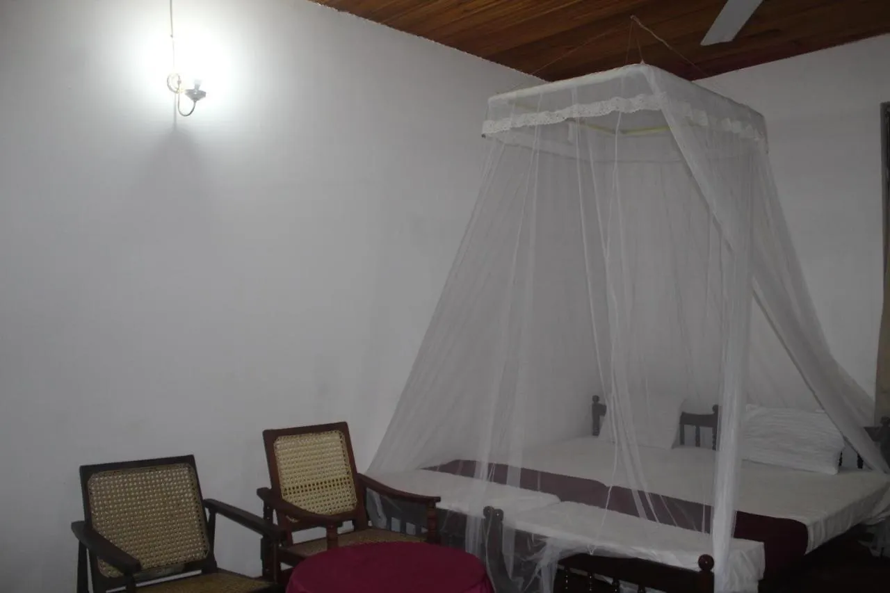 Lazy Bear Best Hostel In Kandy