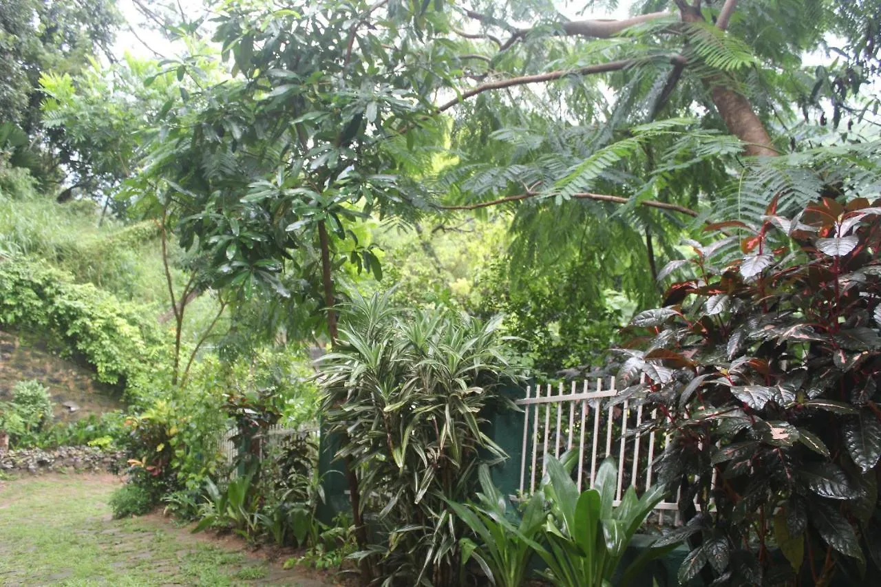 Lazy Bear Best Hostel In Kandy 0*,